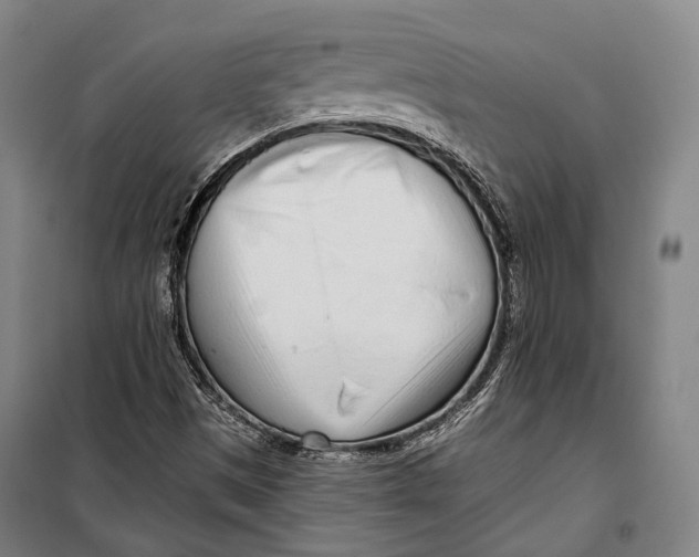 X0000099541497200806061442