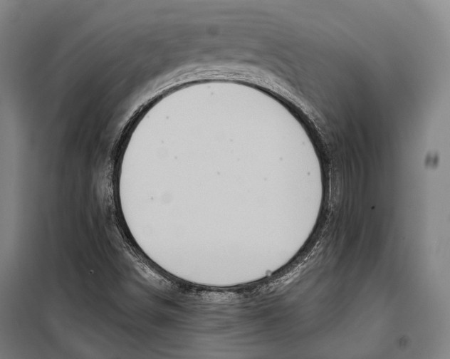 X0000099541498200806061442