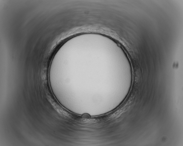 X0000099541499200806061442