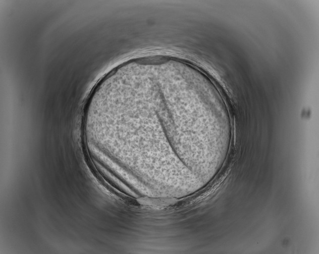 X0000099541500200806061442