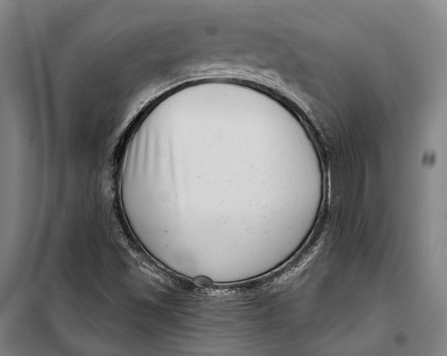 X0000099541501200806061442