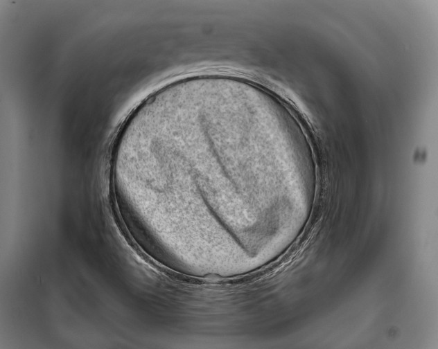 X0000099541504200806061442