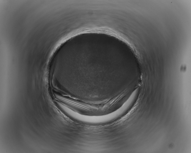 X0000099541506200806061442