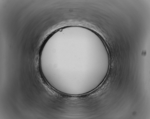 X0000099541507200806061442