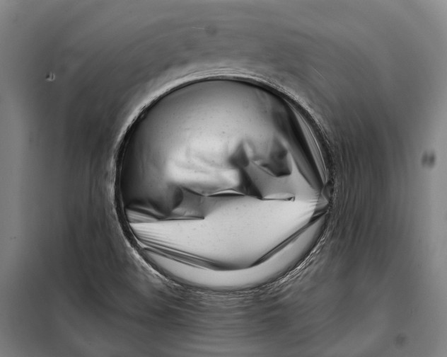 X0000099541508200806061442