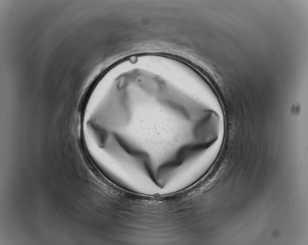 X0000099541509200806061443