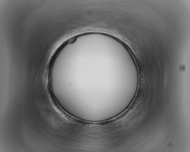 X0000099541511200806061443