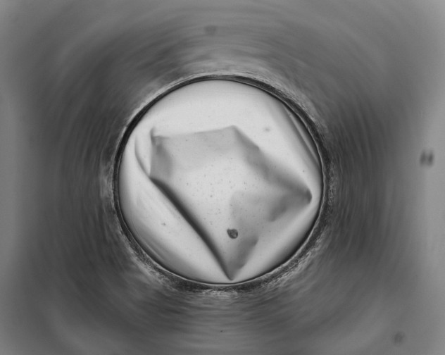 X0000099541513200806061443