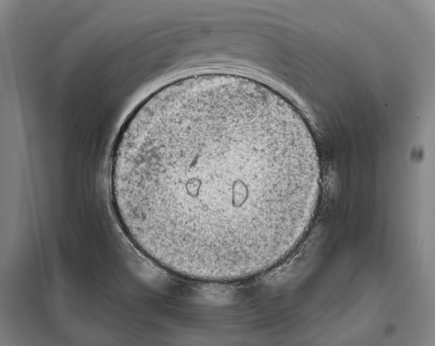 X0000099541514200806061443