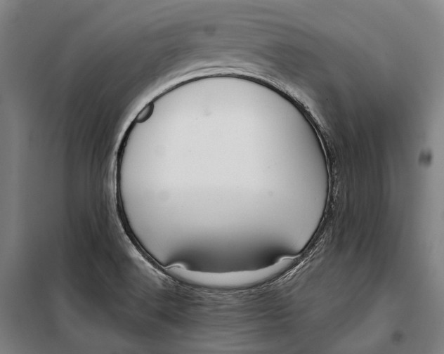 X0000099541516200806061443