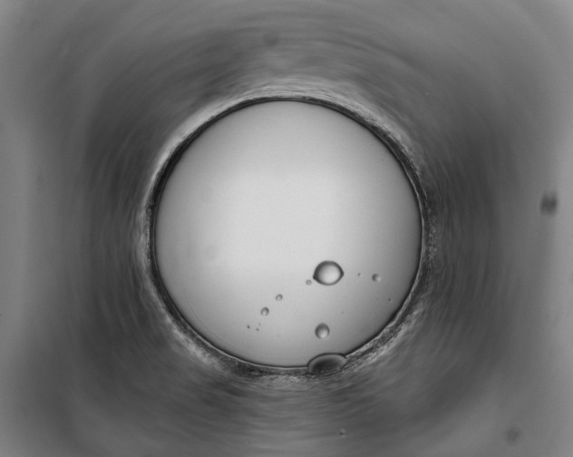 X0000099541517200806061443