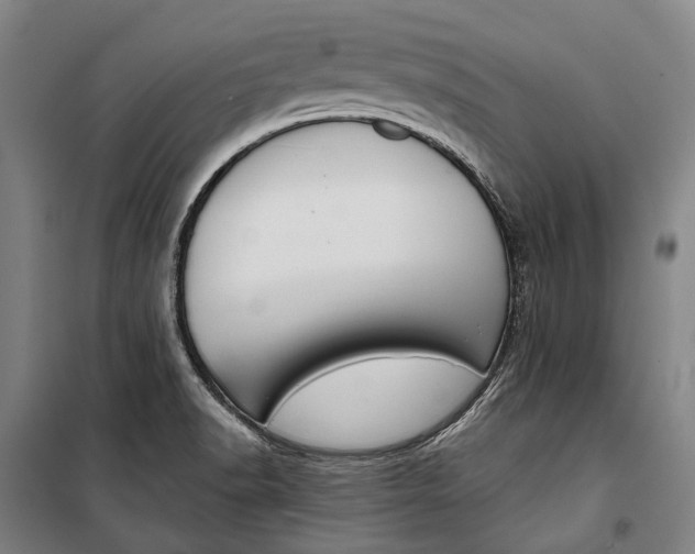 X0000099541518200806061443