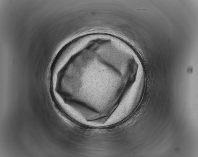 X0000099541519200806061443