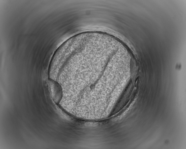 X0000099541521200806061443