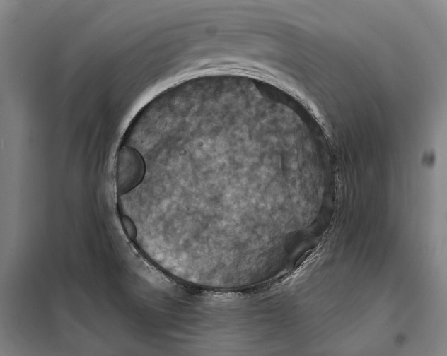 X0000099541522200806061443