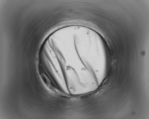 X0000099541523200806061443