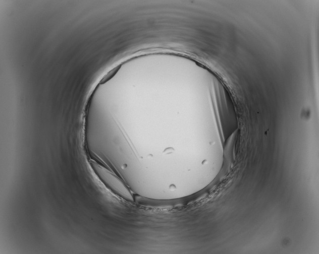 X0000099541524200806061443