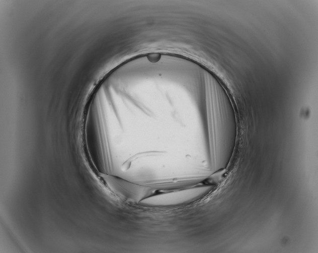 X0000099541525200806061443