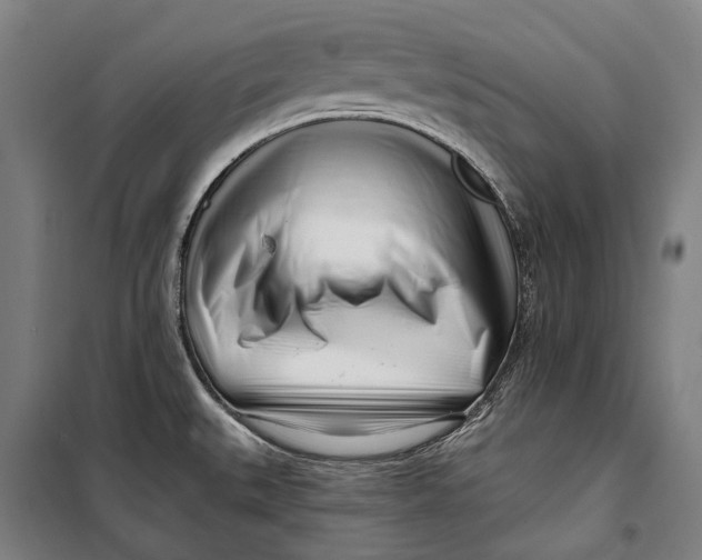 X0000099541527200806061443