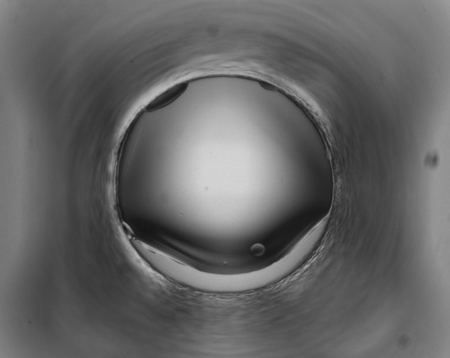 X0000099541528200806061443