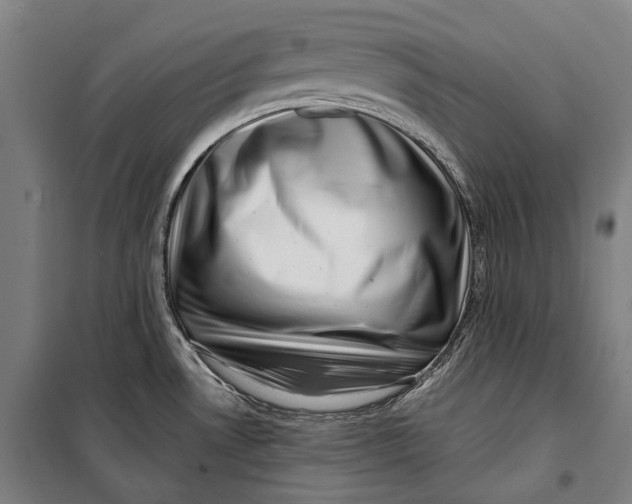 X0000099541530200806061443