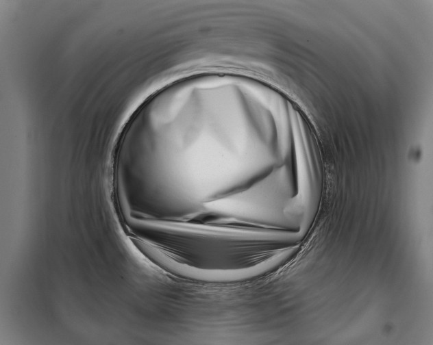 X0000099541531200806061443