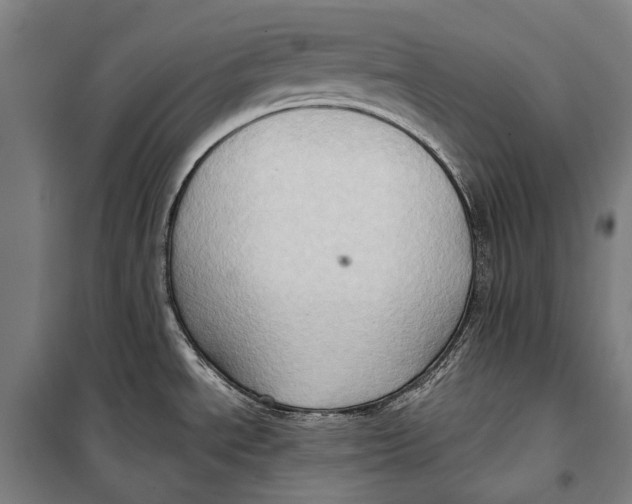 X0000099541534200806061443