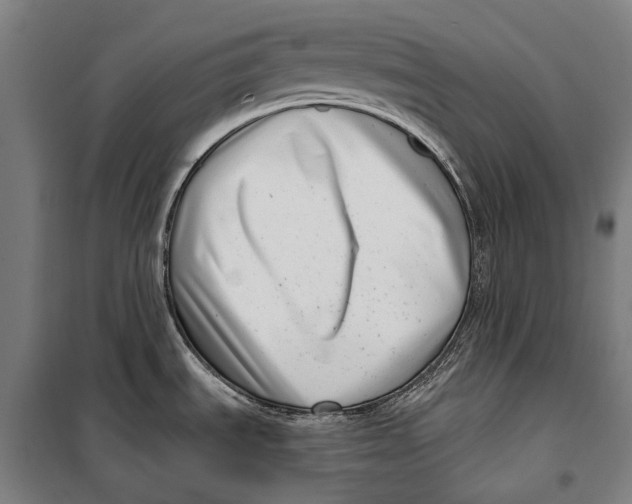 X0000099541535200806061443