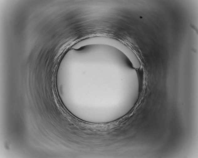 X0000099540001200806131200