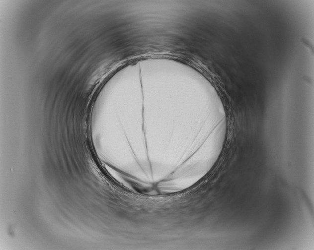 X0000099540002200806131200