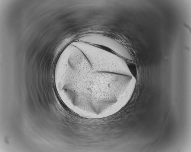 X0000099540003200806131200