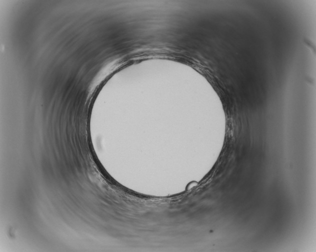 X0000099540004200806131200