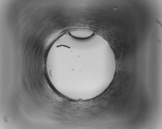 X0000099540005200806131200