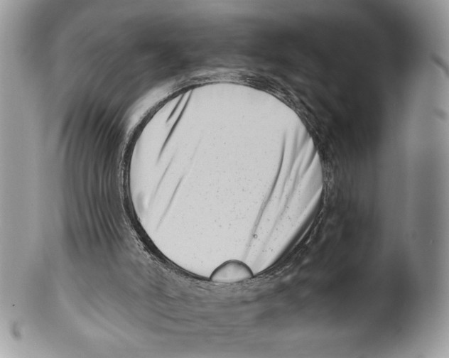 X0000099540006200806131200