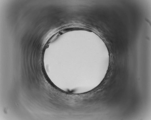 X0000099540007200806131200