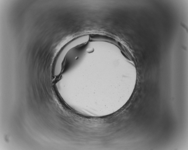 X0000099540008200806131200