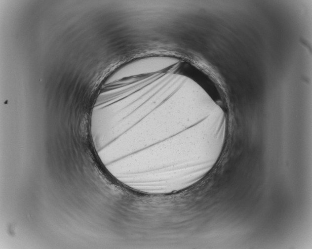 X0000099540009200806131200