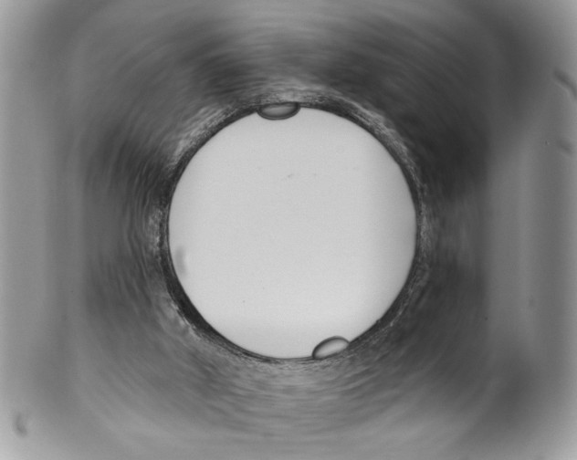 X0000099540010200806131200