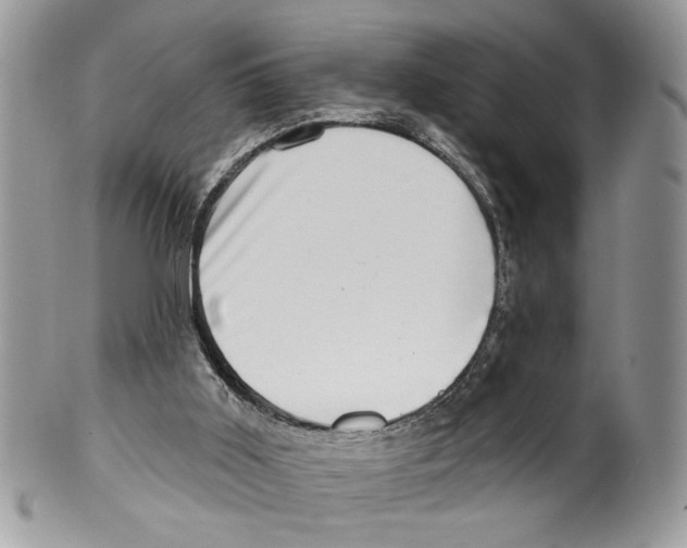 X0000099540011200806131200