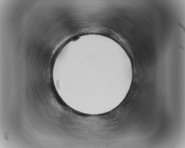 X0000099540012200806131200