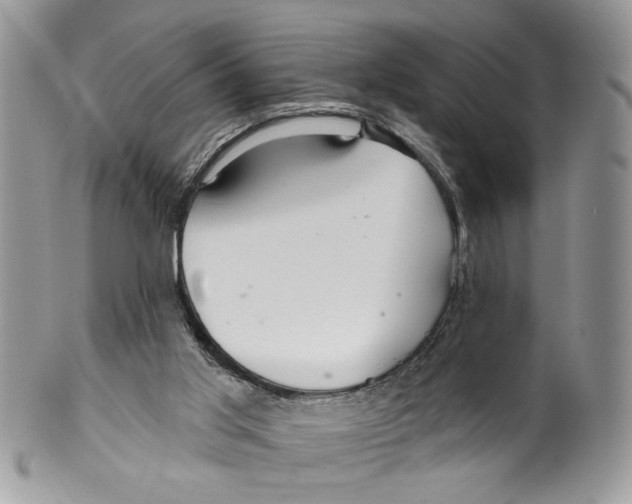 X0000099540013200806131200