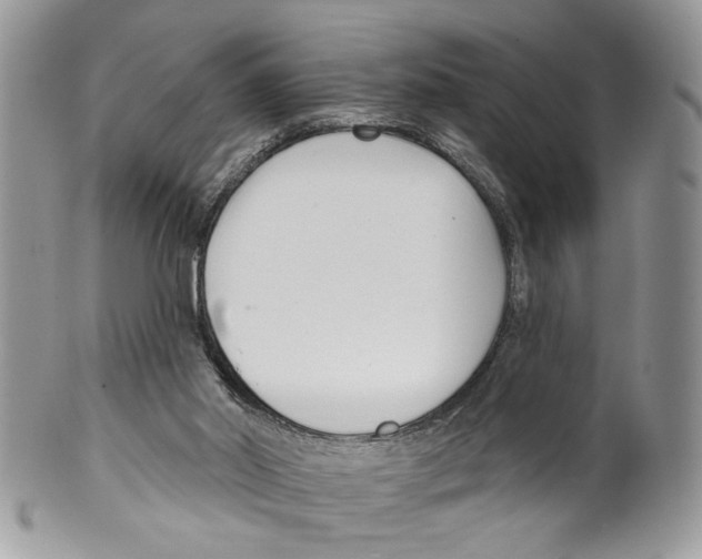 X0000099540014200806131200