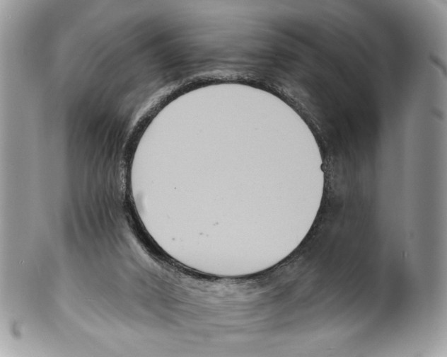 X0000099540016200806131159