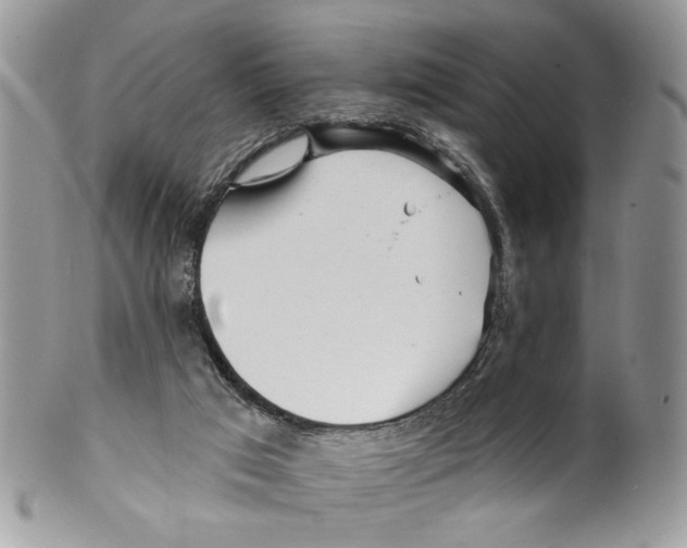 X0000099540017200806131159