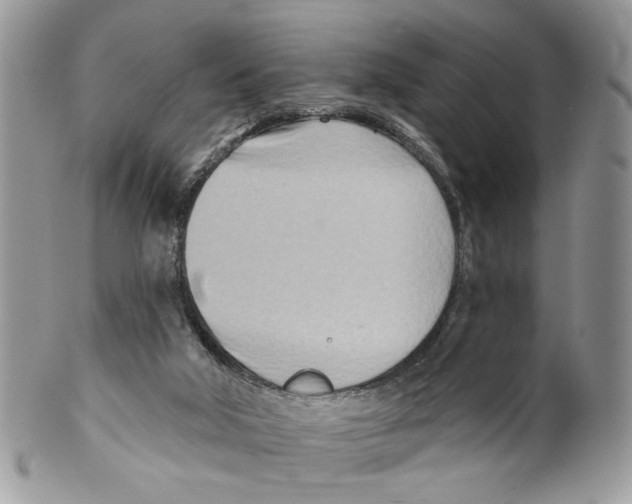 X0000099540018200806131159