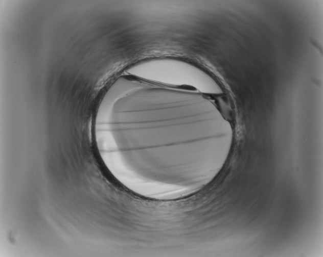 X0000099540019200806131159