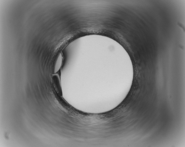 X0000099540020200806131159