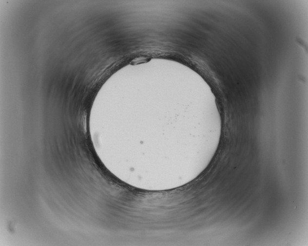 X0000099540021200806131159