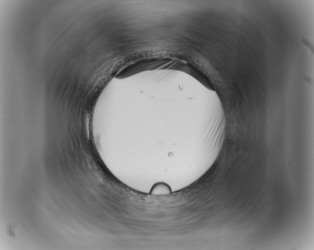 X0000099540022200806131159