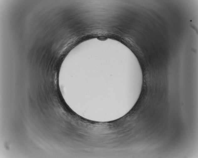 X0000099540024200806131159